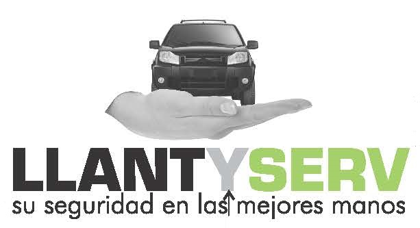 car_355_30_R19 logo
